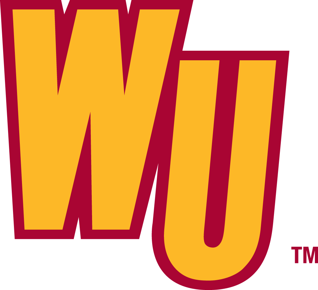 Winthrop Eagles 1995-Pres Alternate Logo v2 diy fabric transfer